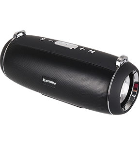 Kasinuo 10W Portable Bluetooth Speaker With Super Stereo and More Than 10hurs Working time