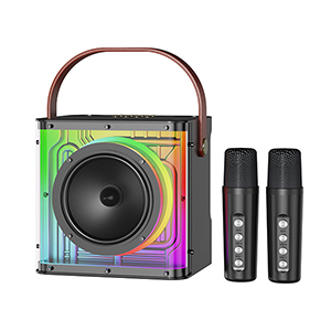 Kasinuo Bluetooth Karaoke Mini Wireless Microphone Speaker RGB Light 20W J11