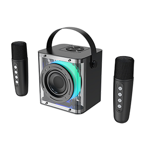 Kasinuo Bluetooth Karaoke Mini Wireless Microphone Speaker RGB Light 10W J16